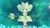淑馨