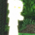 艾斯