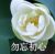 容父