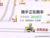 水城城主
