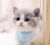 系统猫LEMON