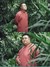 孙越