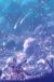 落花流水