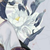 障障同学