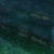 校医