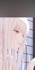蝴蝶