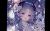 星月