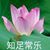 江思琳