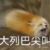 唱戏人1号