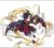 帝奇