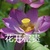 今天游乐园开门了没