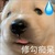 啥都是