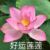 柠柠妈妈