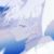 Pisces.雙魚