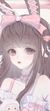 贾真真