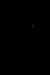 小灰灰