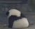 他啥都是