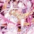 创世神