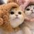 猪先生