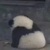 系统323