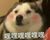 狗子