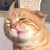 猜猜我是誰