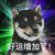 会说话的狗（六斤）