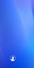 小白