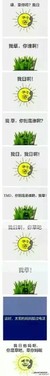 龙套啊