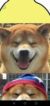 池钟离