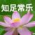 管家