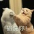 康佳