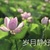 女主妈沫儿
