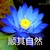 老师