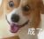 妈妈