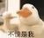 万能人物