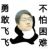 飞总