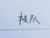 校队队员