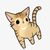 橘猫