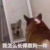 王主任