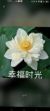 女主媽媽