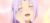 紫苑