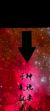 黑金