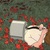 校医