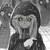 帕洛斯