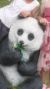 啥都是