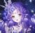 星雨（我）