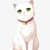 慕猫猫