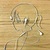 作者
