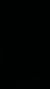 导演